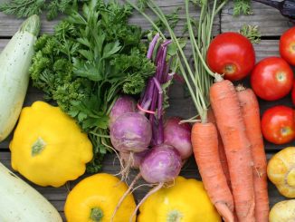 rolnictwo ekologiczne