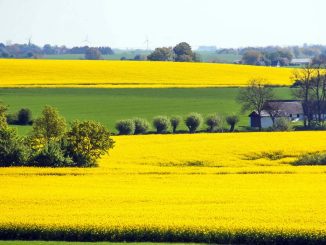 ustawa-o-obrocie-ziemia