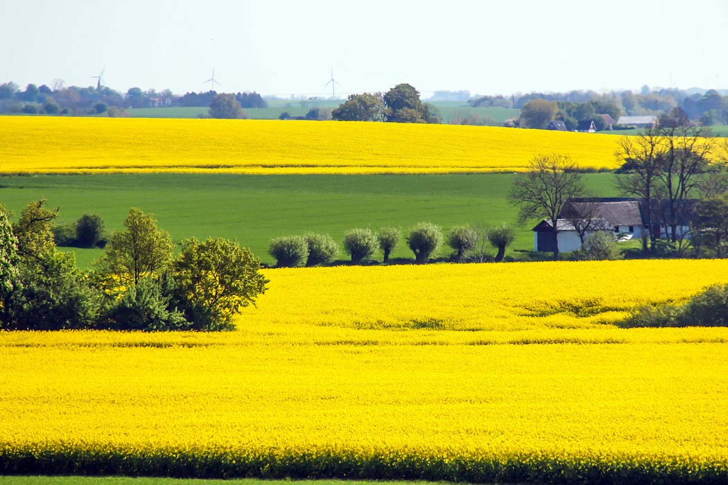 ziemią rolną ziemią rolną