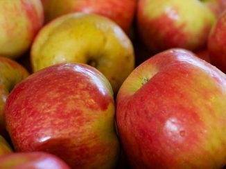 Jabłka – najczęściej spożywane, ale czy najbardziej opłacalne