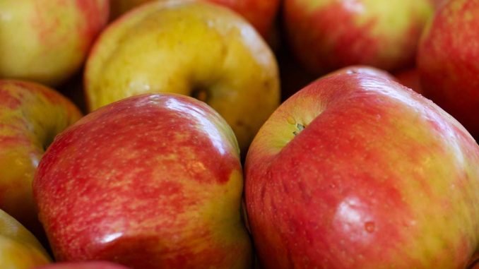 Jabłka – najczęściej spożywane, ale czy najbardziej opłacalne