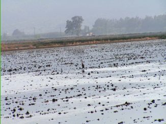 kredyt dla rolnika 2