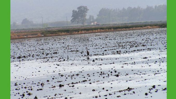 kredyt dla rolnika 2