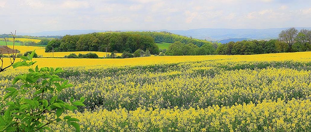 Kwietniowe prace w gospodarstwie rolnym