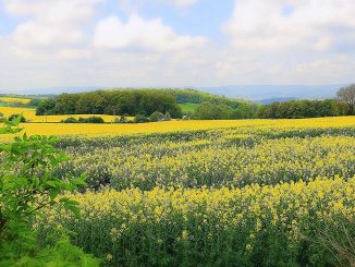 Kwietniowe prace w gospodarstwie rolnym