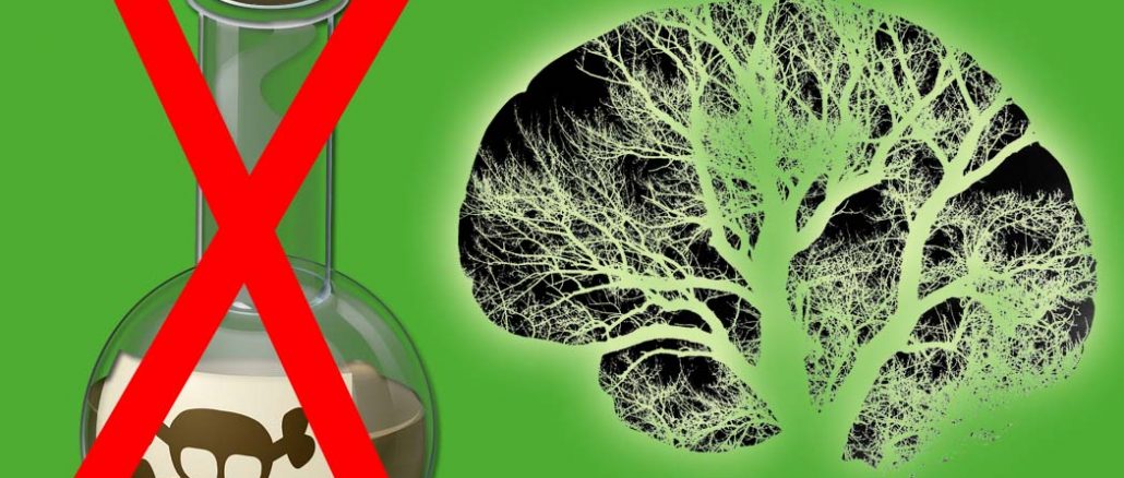 system ochrony roślin