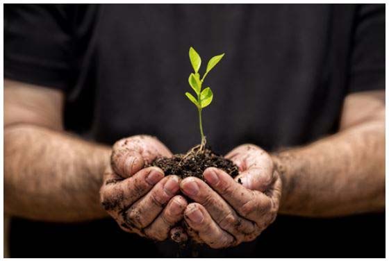 nawozy nawozy pod inf