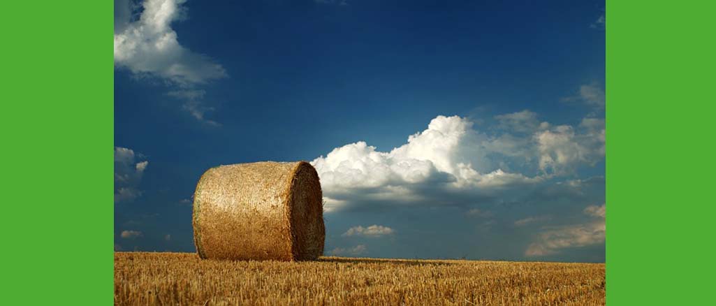 agrofundusz agrofundusz