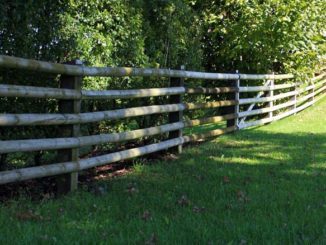 Sprzedaż działki rolnej