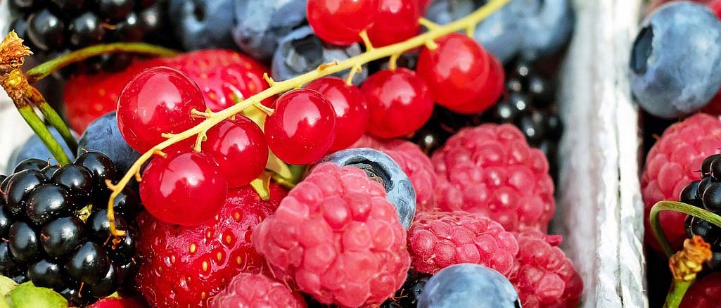 ceny skupu ceny skupu