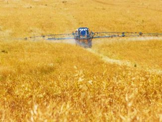 grupy producentów rolnych