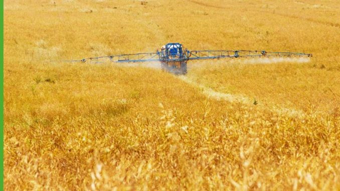 grupy producentów rolnych