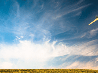 Odnawialne źródła energii – sposób na modernizację gospodarstwa rolnego i zmniejszenie kosztów produkcji