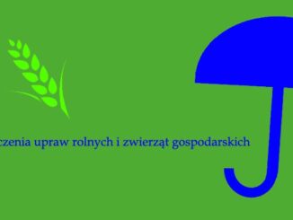 Ubezpieczenia upraw rolnych i zwierząt gospodarskich