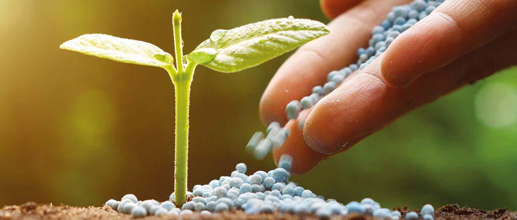 Nawozy mineralne Nawozy mineralne