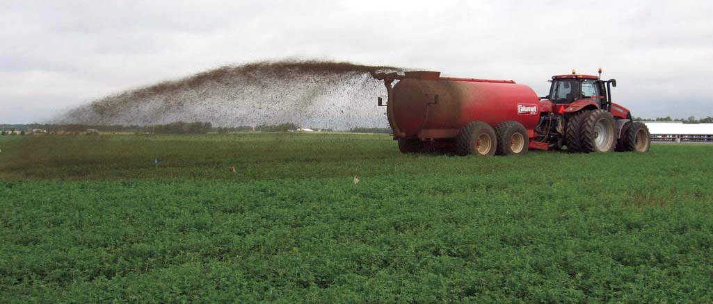 Nawozy organiczne Nawozy organiczne