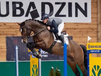 Jak wybrać konia reproduktora ujeżdżeniowego, skokowego