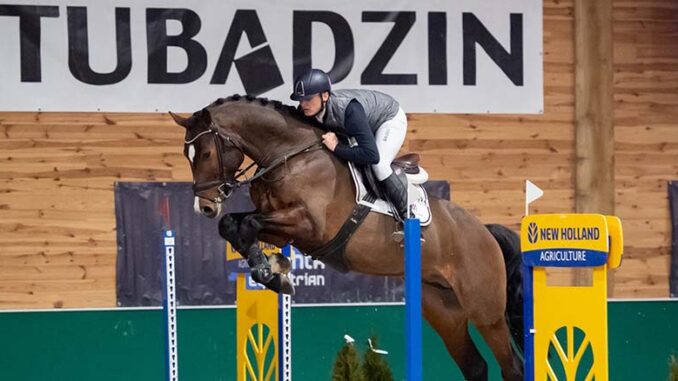 Jak wybrać konia reproduktora ujeżdżeniowego, skokowego