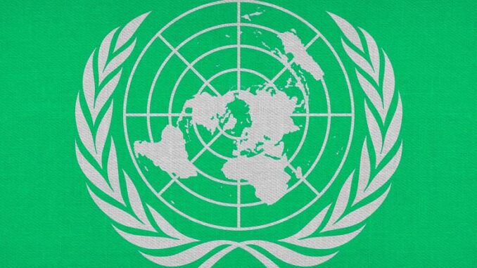 Nowe systemy żywnościowe dla świata