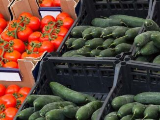 rolniczy handel detaliczny