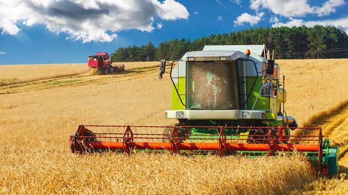 TOP 3 marek kombajnów rolniczych w Polsce