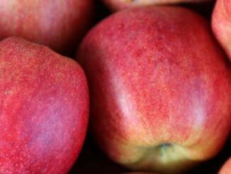 dolistne nawożenie jabłoni