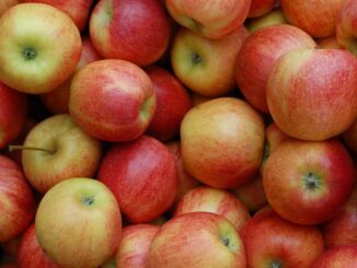 poprawa koloru jabłek