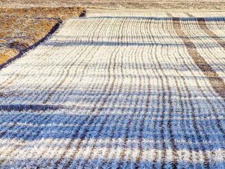 Przygotowanie gruntów do zbóż ozimych