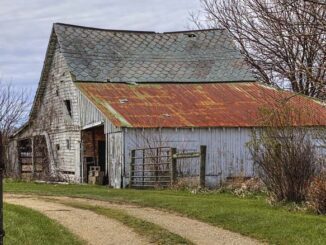 Restrukturyzacja gospodarstw