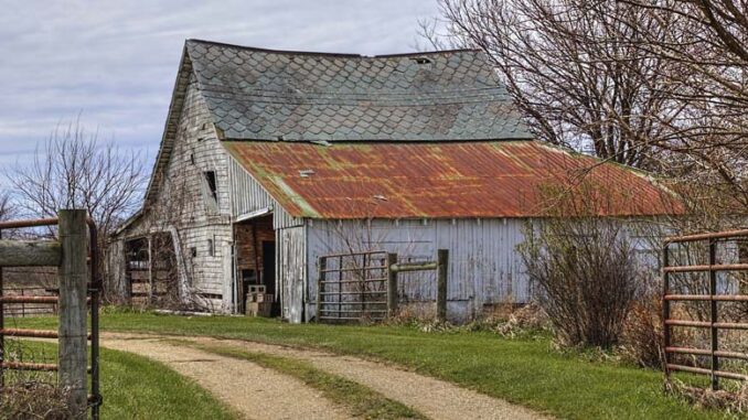 Restrukturyzacja gospodarstw