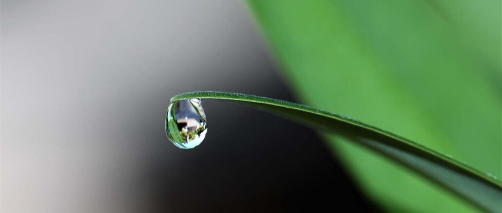 Zabiegi rolnicze ograniczające utratę wody