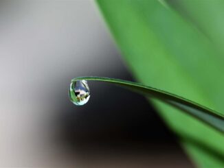 Zabiegi rolnicze ograniczające utratę wody