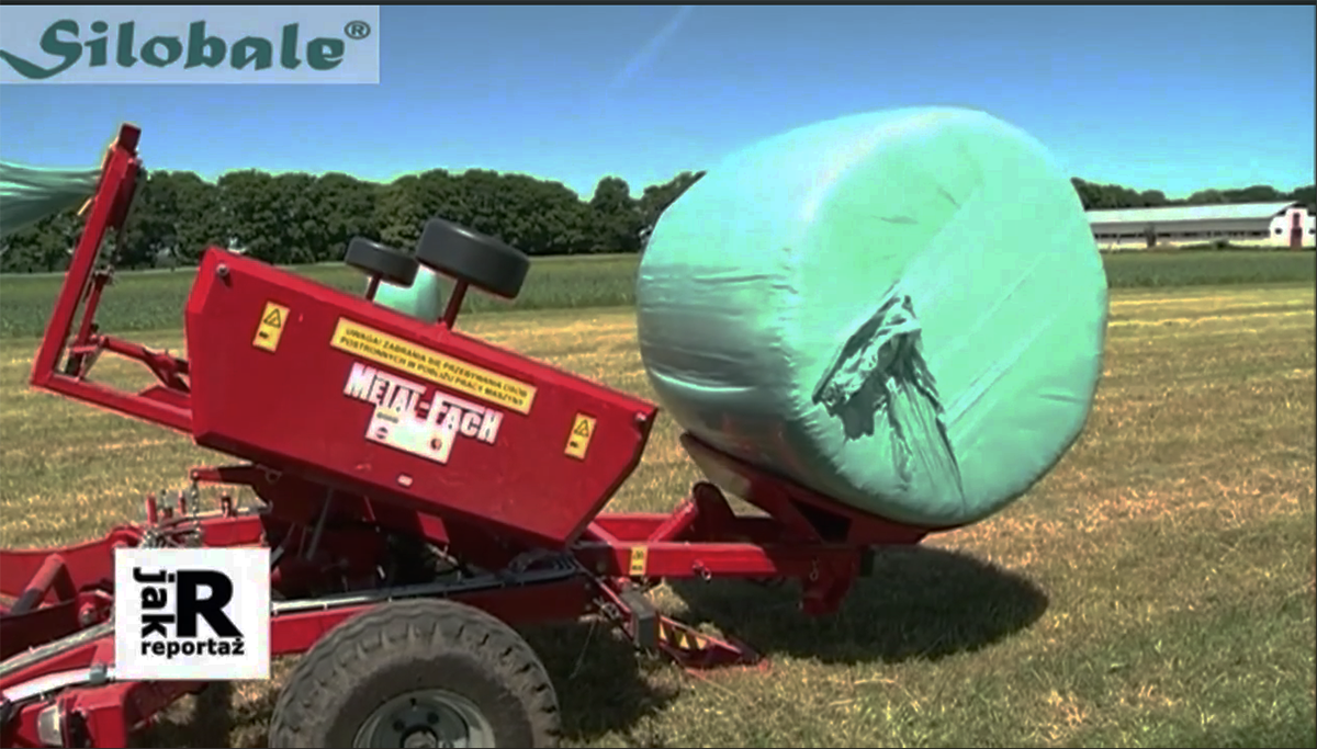 sianokiszonka sianokiszonka