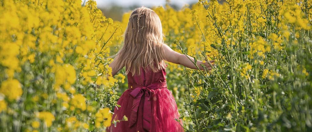 Rolnictwo regeneratywne