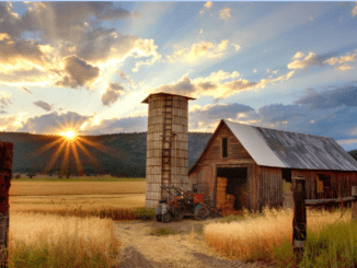 gry slotowe o tematyce farmerskiej